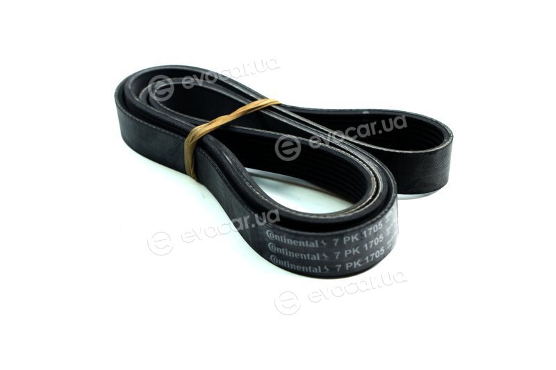 Continental 7PK1705