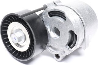 Dayco APV3181