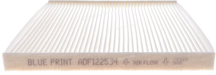 Blue Print ADF122534