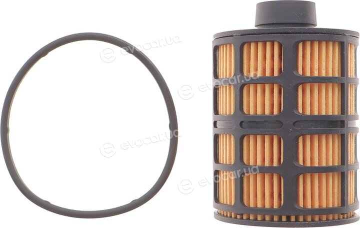 Solgy 102005
