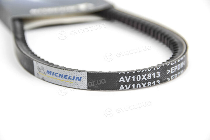 Michelin 10AVX813