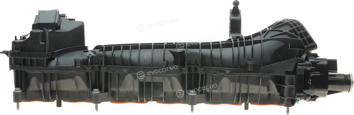 Solgy 114161