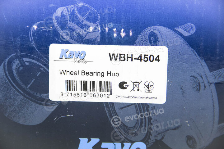 Kavo WBH-4504