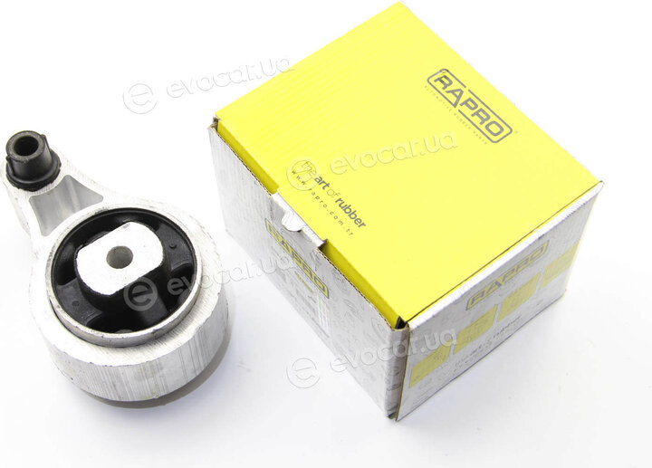 Rapro R59806