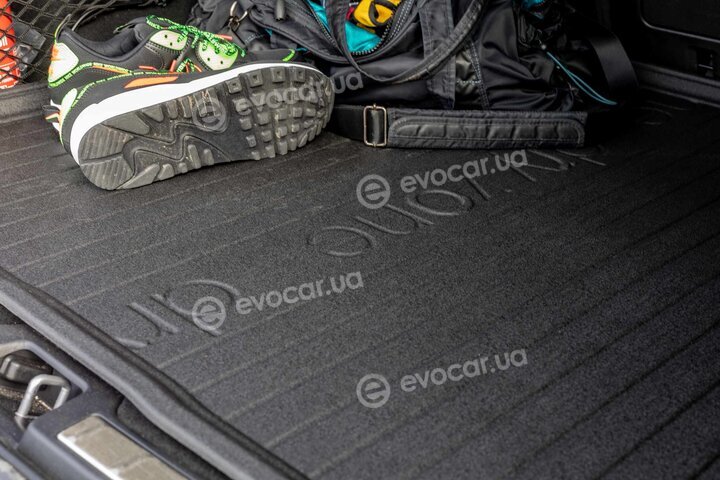 Frogum DZ404366