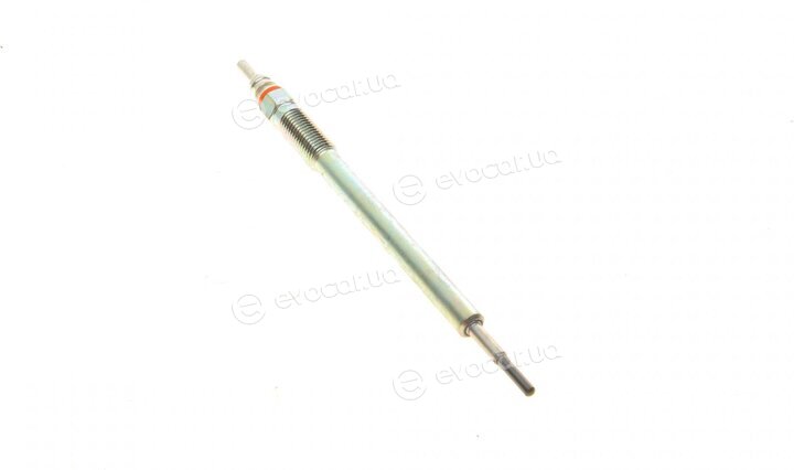 Bosch F 01G 004 031