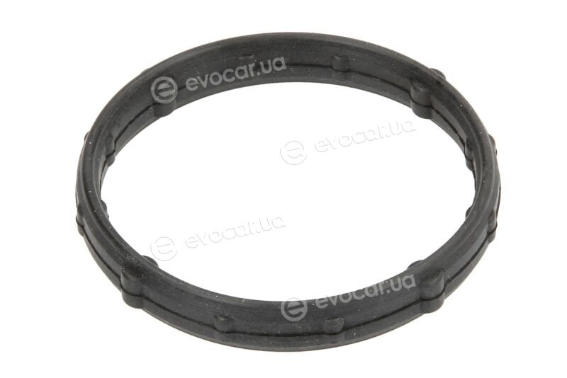 Elring 560.690