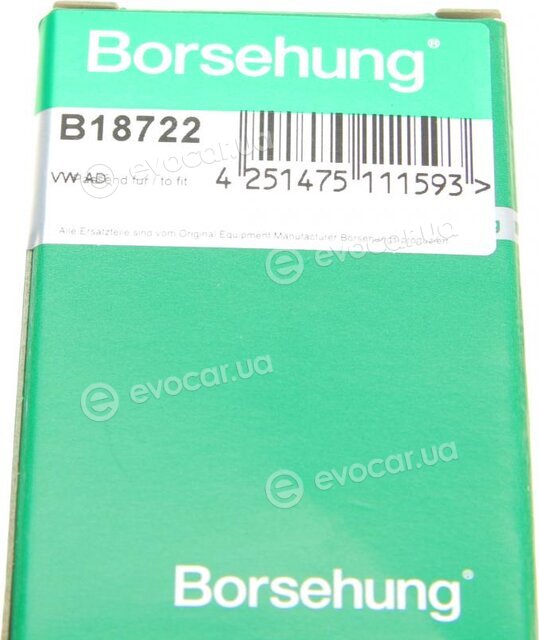 Borsehung B18722