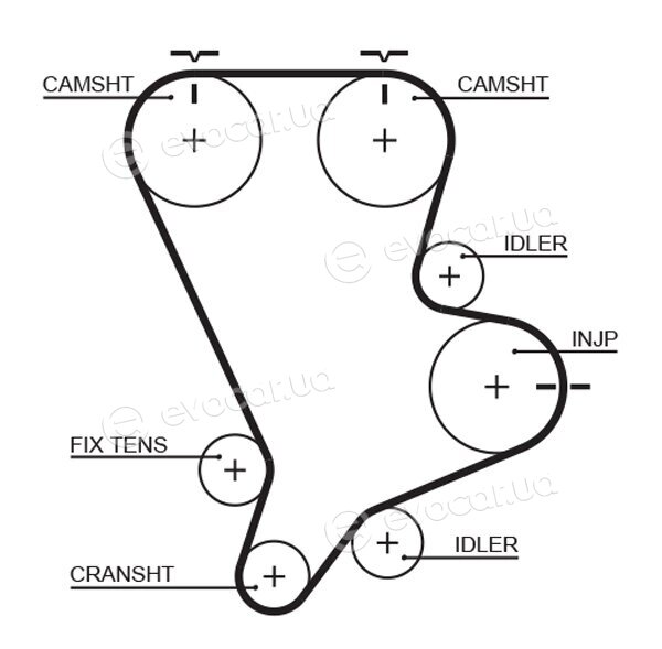 Gates 5554XS