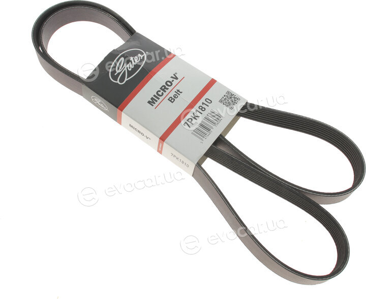 Gates 7PK1810