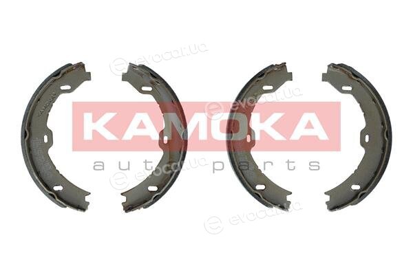 Kamoka JQ212028
