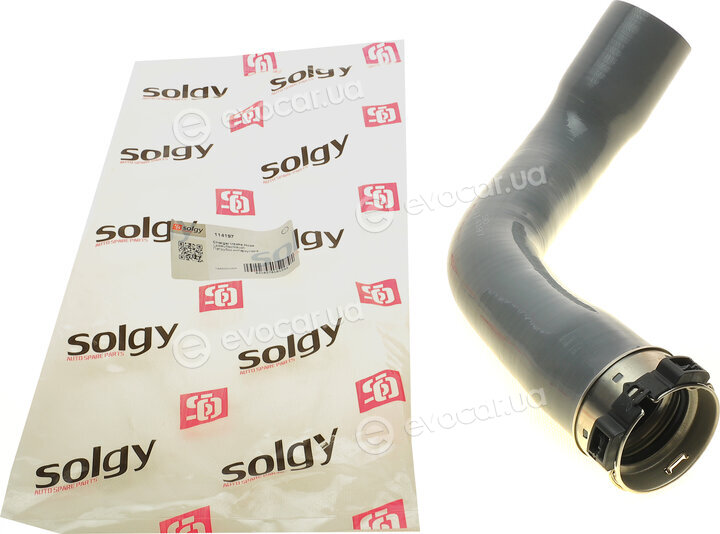 Solgy 114197