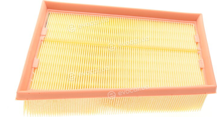 Mann C 2433/2