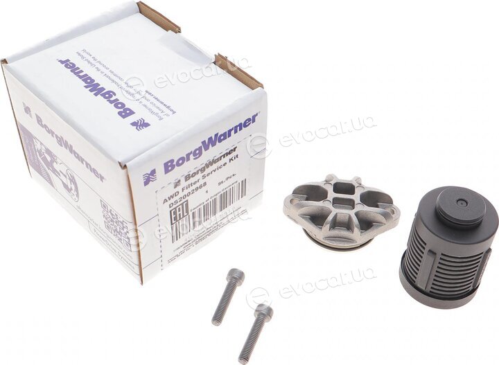 BorgWarner DS2002968