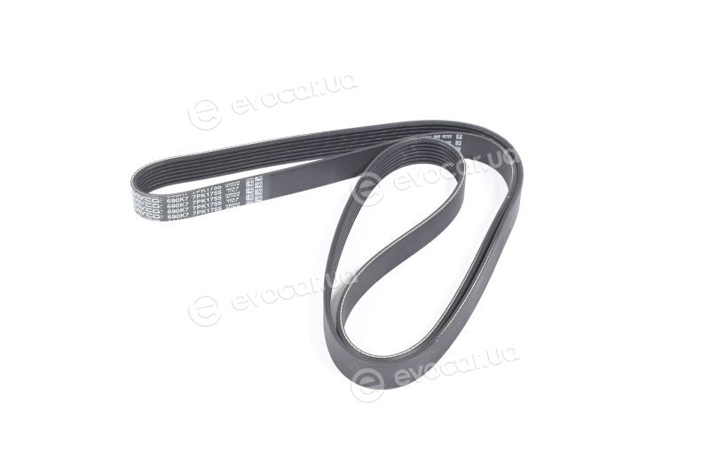 Dayco 7PK1755