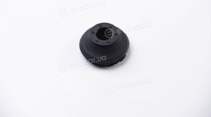 BC Guma 0410