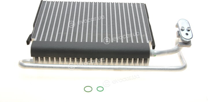NRF 36096