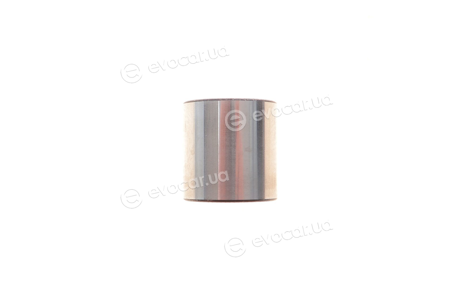 SKF VKMA 01279