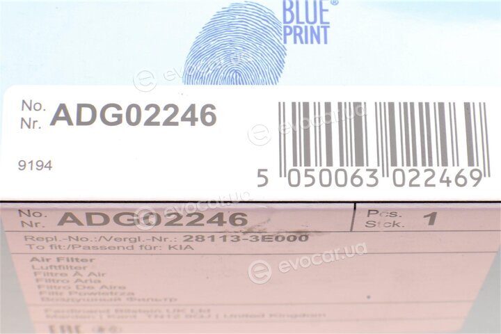 Blue Print ADG02246