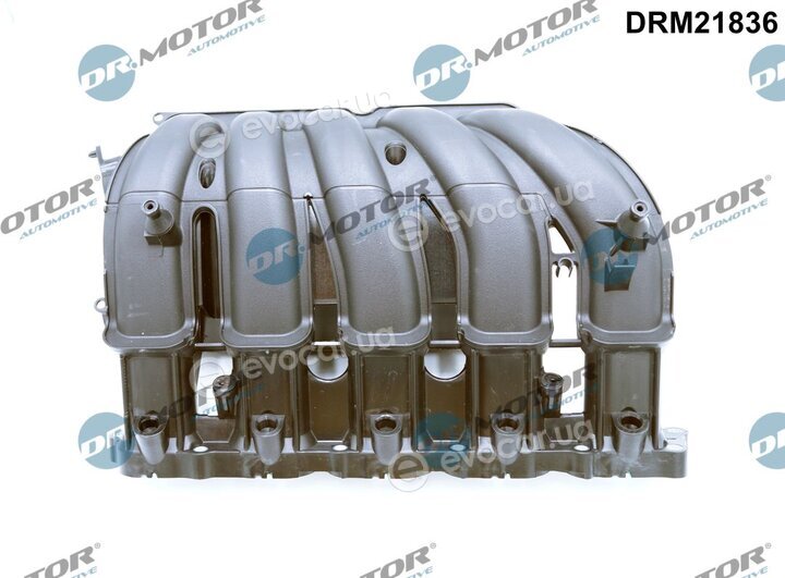 Dr. Motor DRM21836