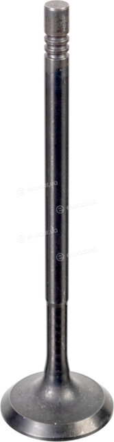 Febi 176538