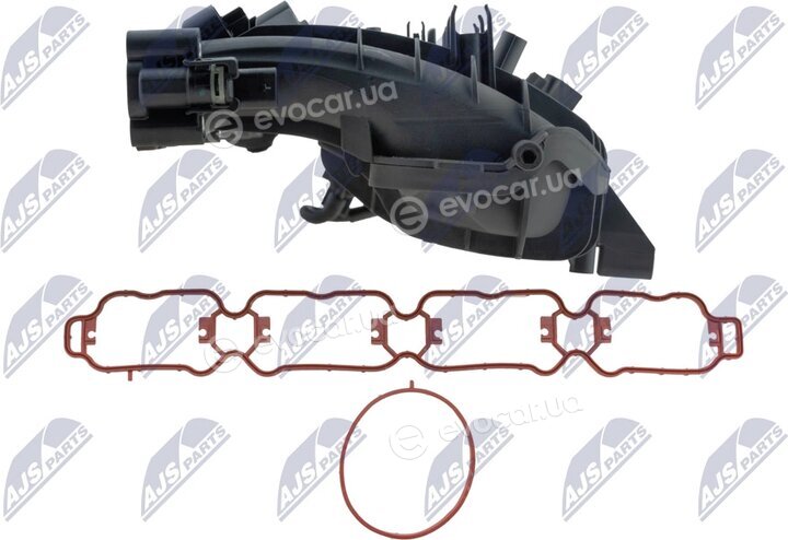 NTY BKS-VW-030