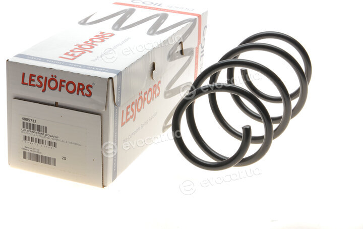 Lesjofors 4085732