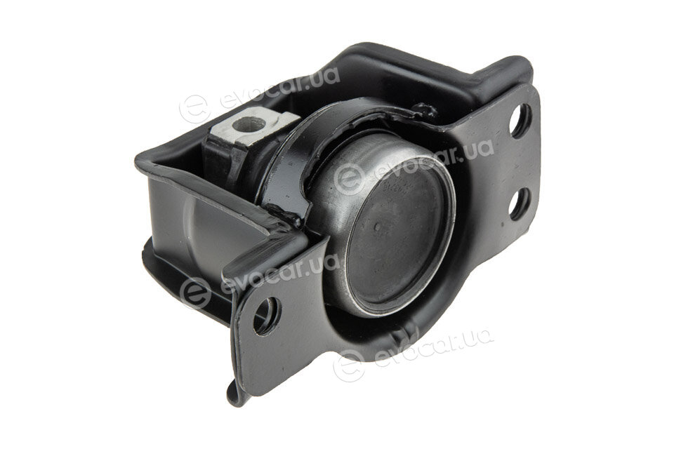 NTY ZPS-NS-057