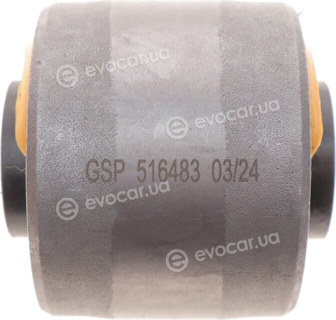 GSP 516483