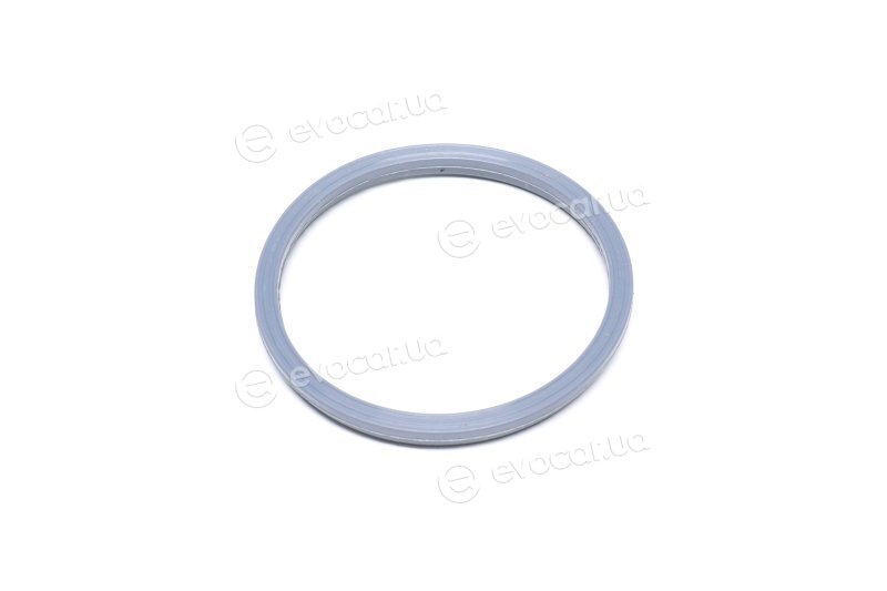 Elring 575.500