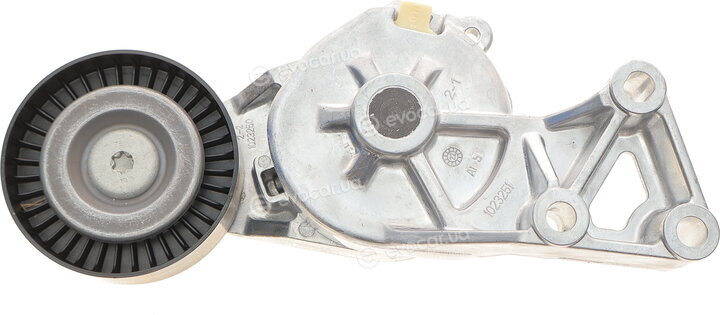SKF VKM 31019