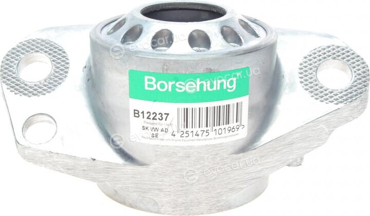 Borsehung B12237