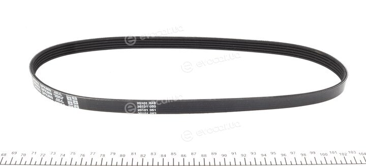 Dayco 5PK869