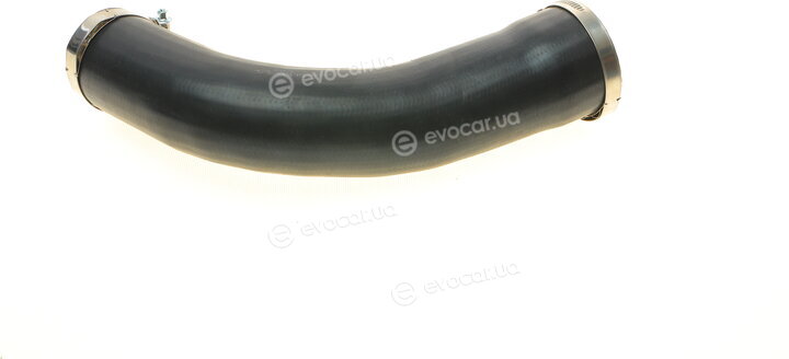 Solgy 114183