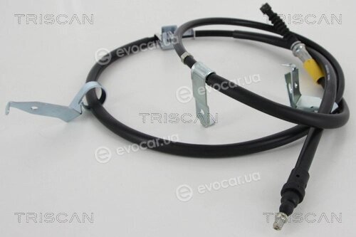 Triscan 8140 50166