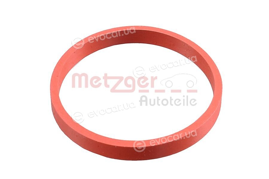 Metzger 2400583