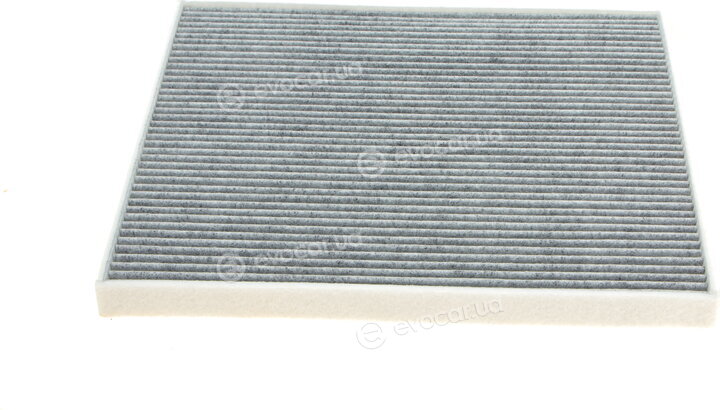 Blue Print ADBP250011