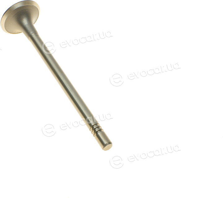 AMP PVWG134-B-0-N