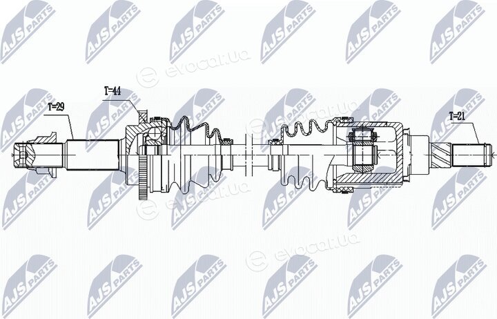 NTY NPW-NS-166