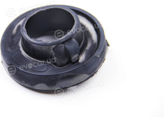 BC Guma 0231