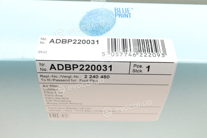 Blue Print ADBP220031