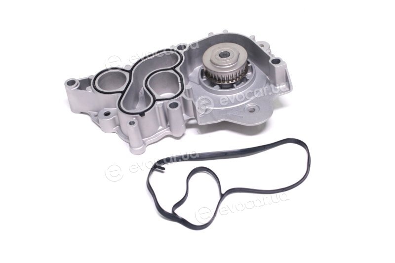 Continental WP6094