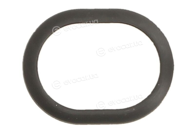 Elring 482.260
