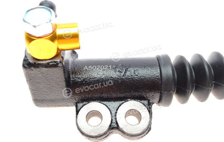 Blue Print ADG03644
