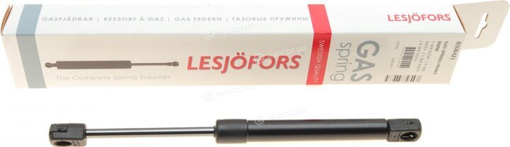 Lesjofors 8008421