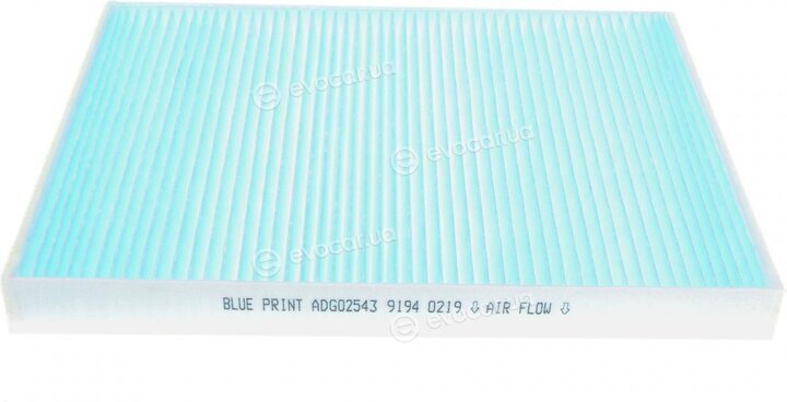 Blue Print ADG02543