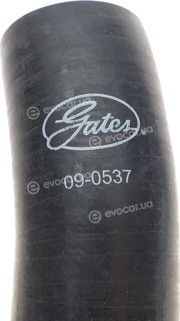 Gates 09-0537