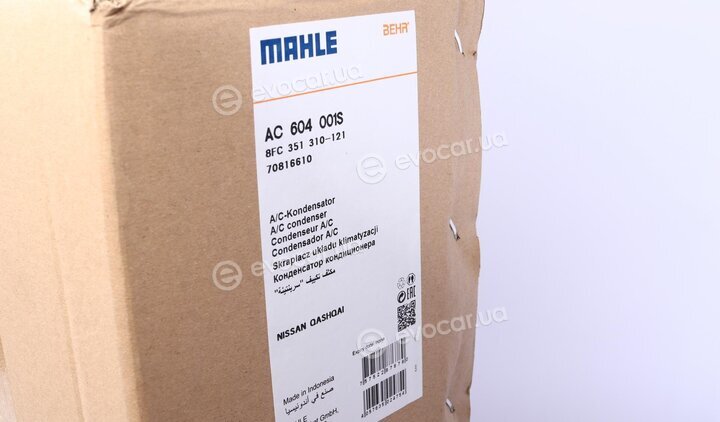 Mahle AC 604 001S