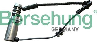 Borsehung B13421