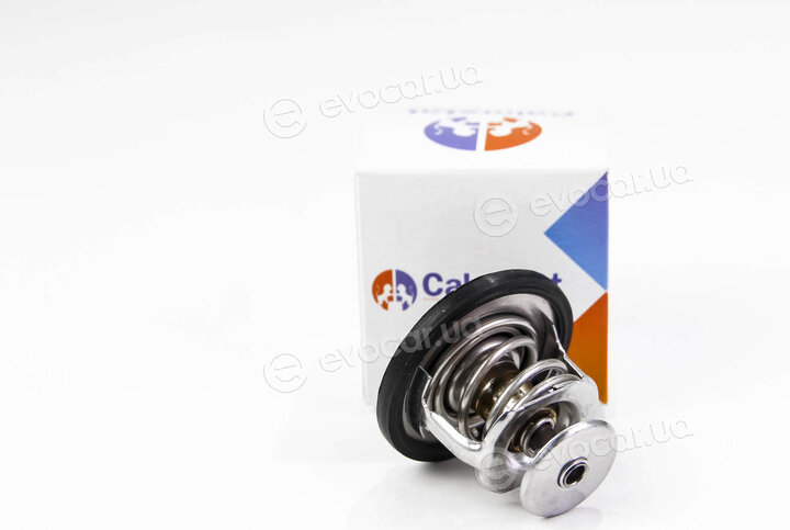Vernet / Calorstat TH670282